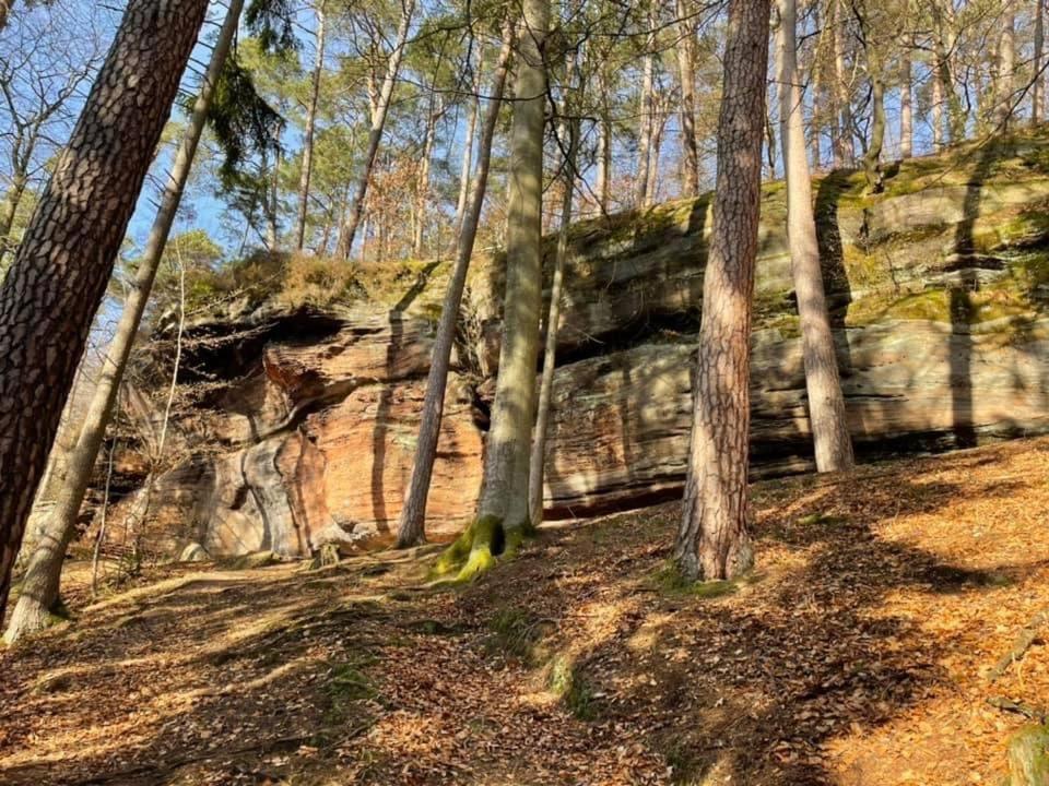 Ferienwohung Am Felsenwanderweg Im Pfaelzerwald Apartment Rodalben Exterior foto