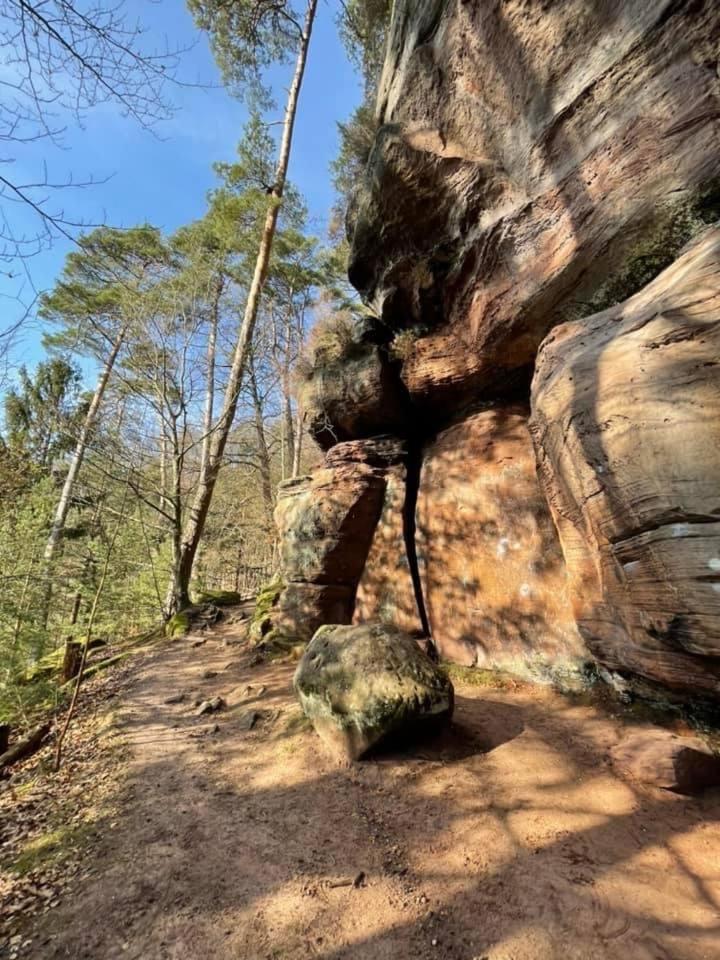 Ferienwohung Am Felsenwanderweg Im Pfaelzerwald Apartment Rodalben Exterior foto